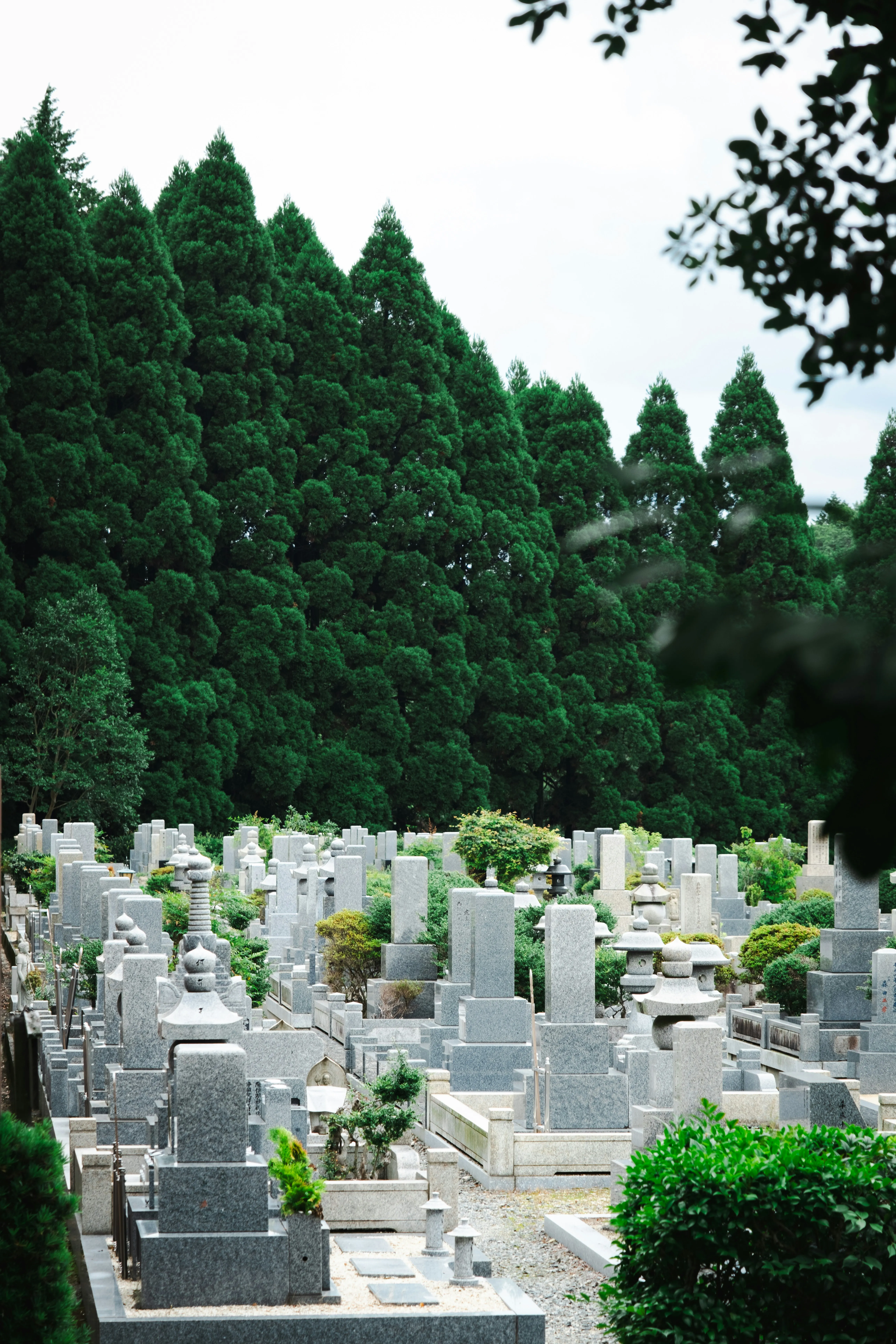 緑に囲まれた日本の墓地